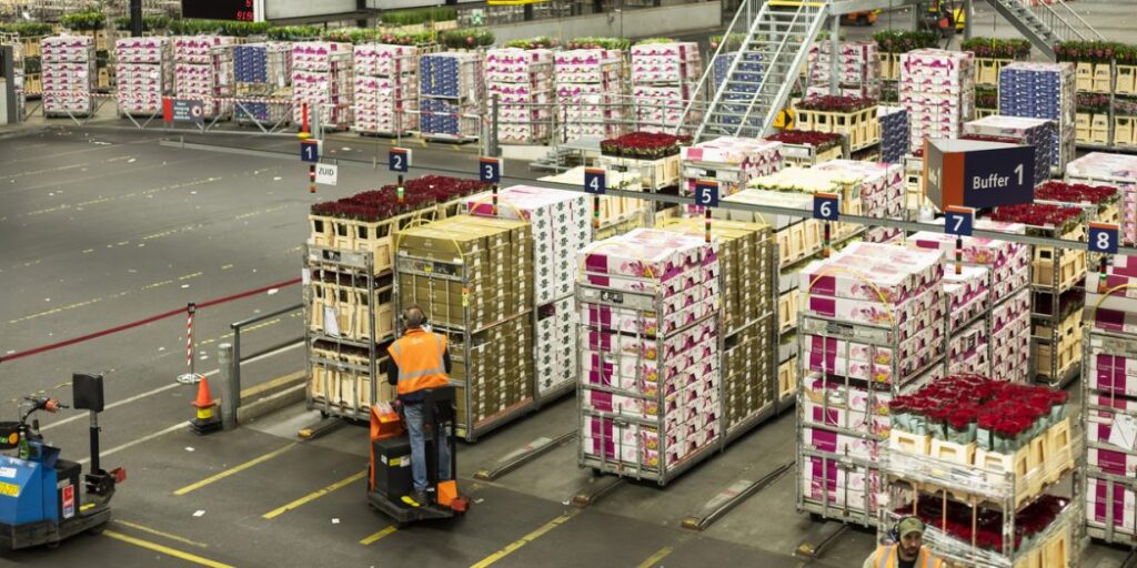 Wholesale Distribution